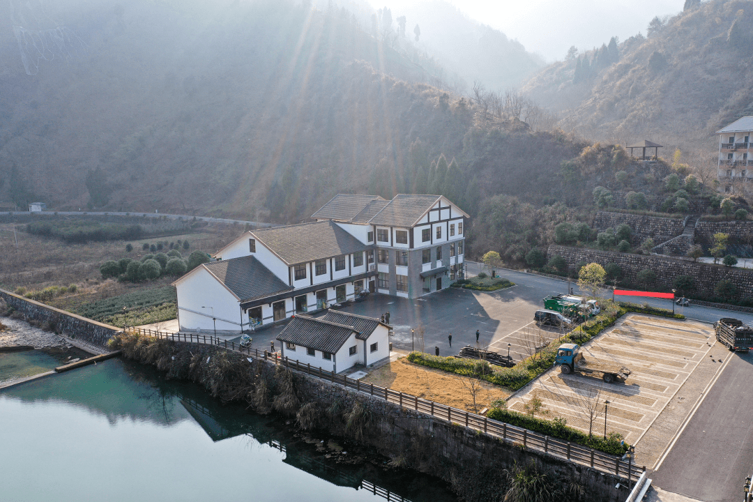 瑶山乡人才助力点绿成金奏响林下经济发展交响曲