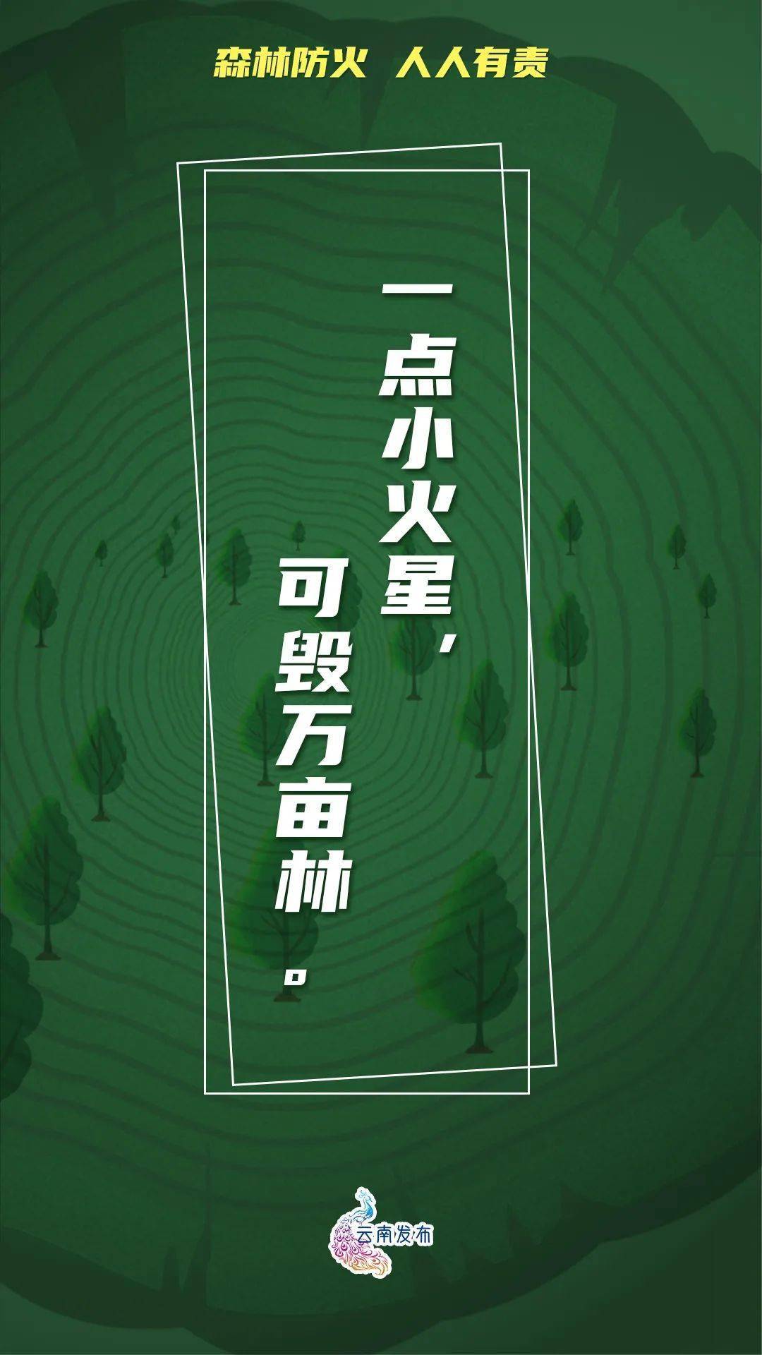 8d4007bf88c24dda9b53f01fbc72ff11.jpeg