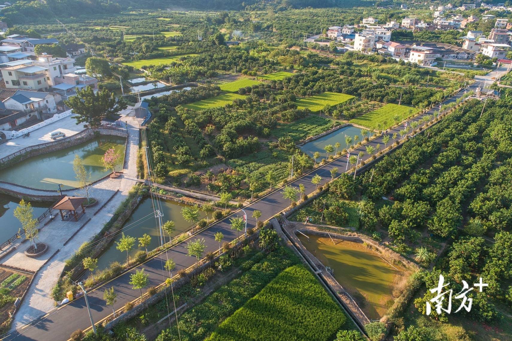 梅县石扇火烧山图片