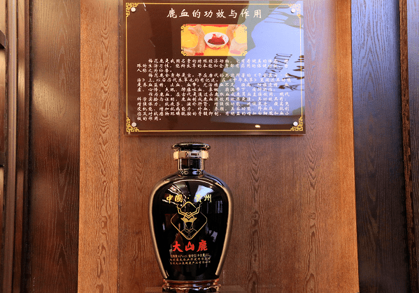 乡村振兴示范地绥阳大山鹿走出大山天地宽