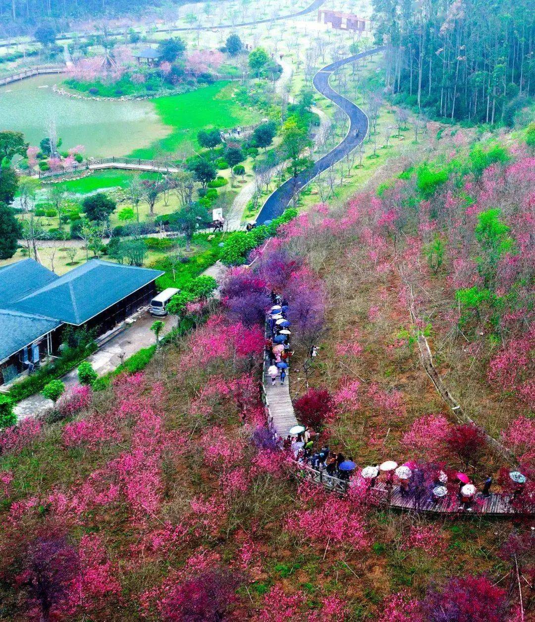 长泰十里蓝山图片