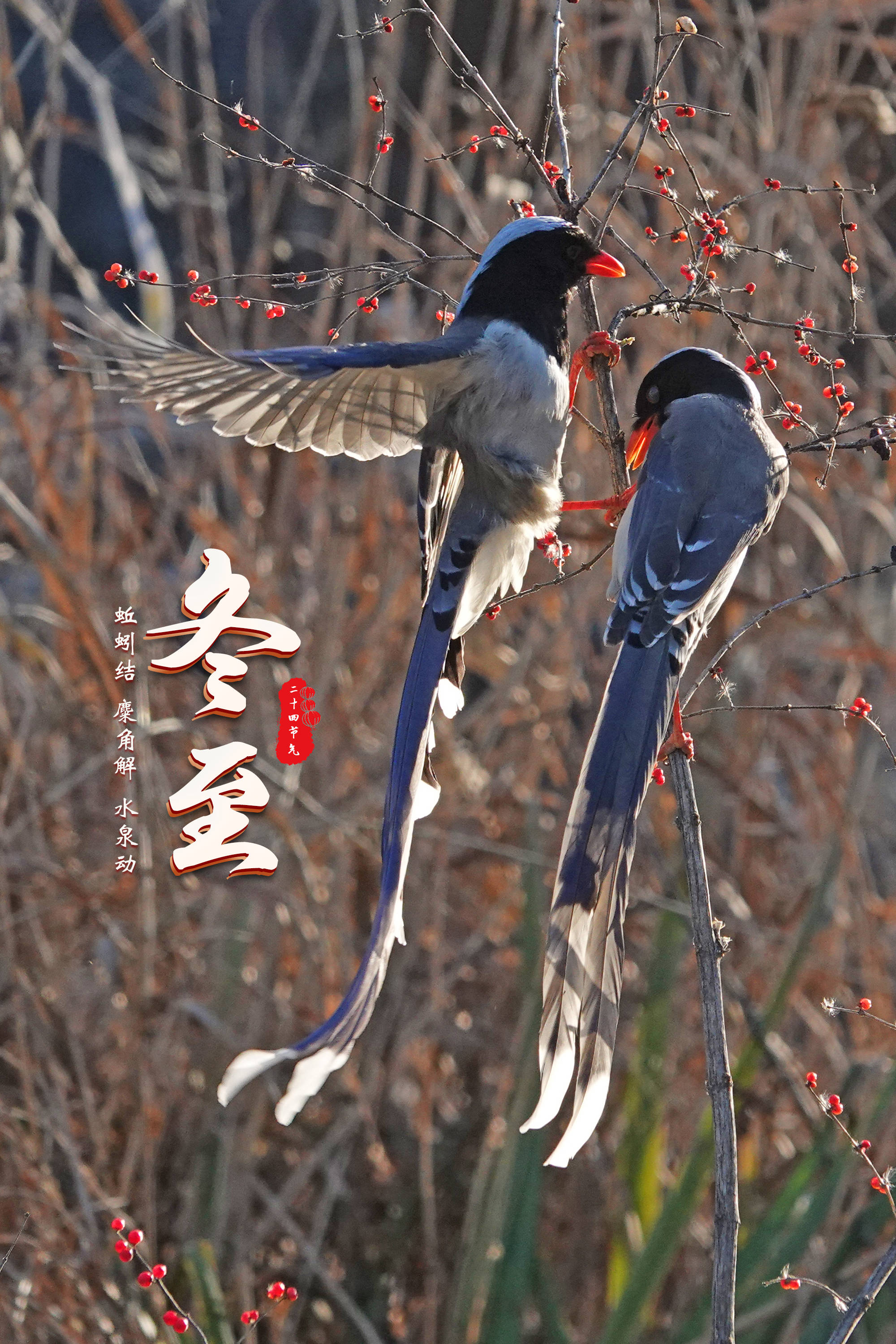 丁罗义|报节气|冬至一阳生