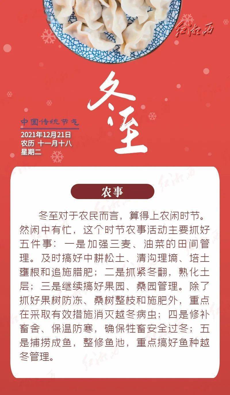 今日冬至亚岁迎祥