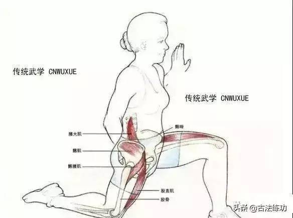 拳经分享练拳为什么要开胯教你怎样开胯附图示