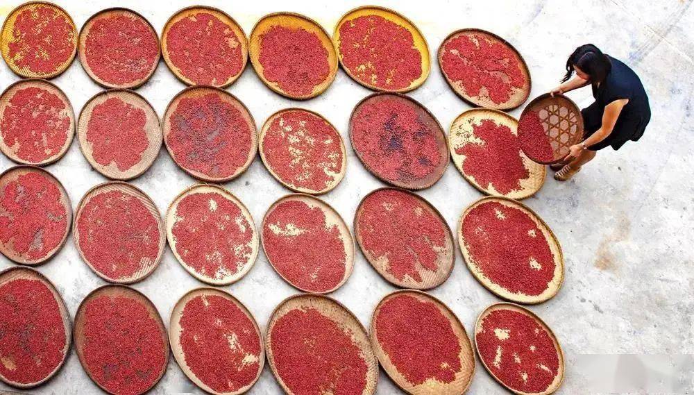 茶叶|一块块金字招牌的背后,竟是……