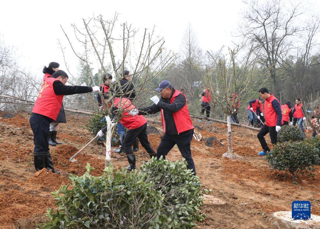 湖州市|浙江安吉：山绿水清 景美民富