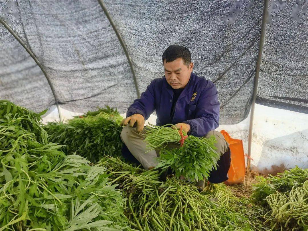 致富手段或特长(致富手段或特长有哪些)