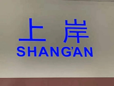 网友|“上岸”地铁站火了，这届考研人为“求上岸”能有多拼？