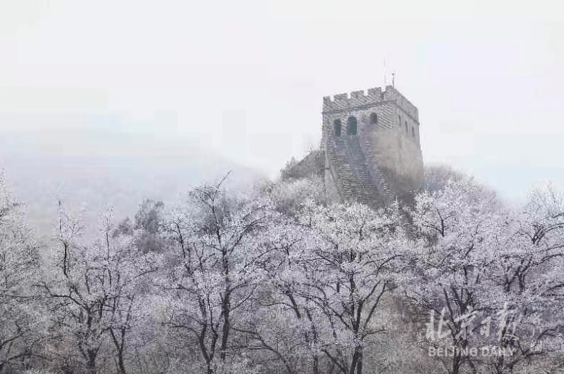 石佛寺村|美图丨玉树琼枝装点“巨龙”，水关长城现雾凇美景