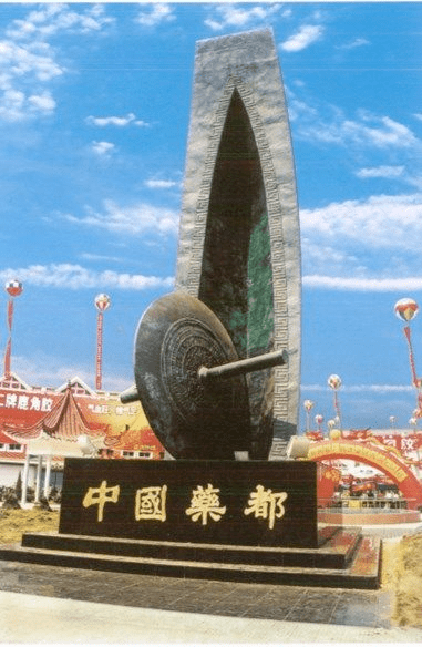 "药不过樟树不灵,药不到樟树不齐"_中医药_药材_经营