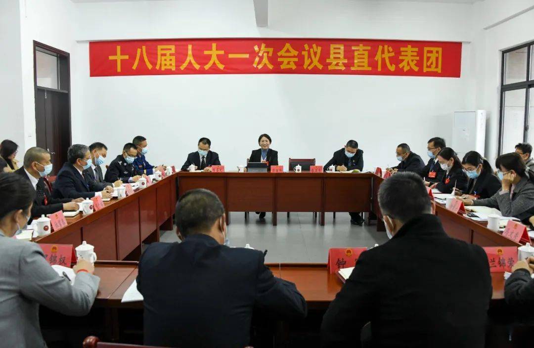 张丽华参加了县直,平川,武东和永平,湘店等代表团的讨论,她高度评价并