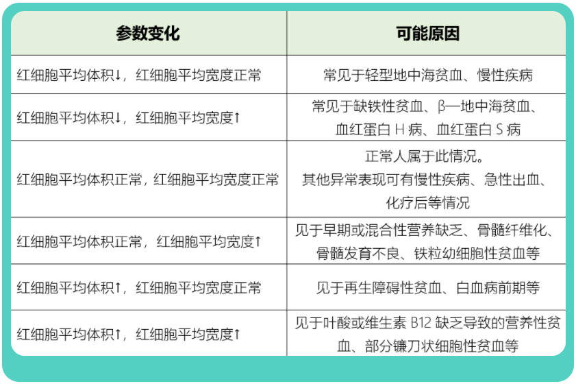 血常規報告有這3種箭頭,警惕白血病!_白細胞_指標_紅細胞