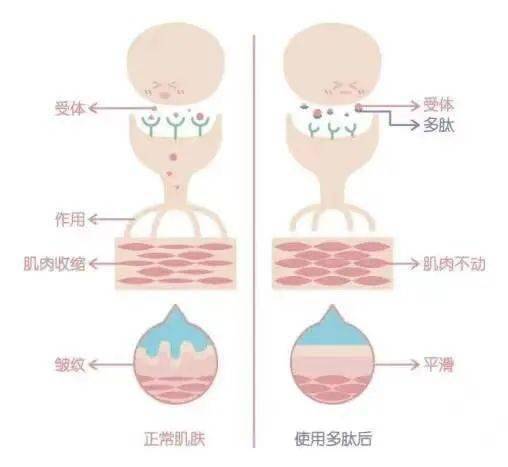 因为百元国货真的有用？这12只精华给我火！