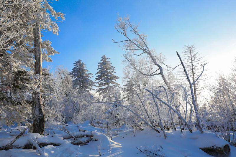 吉林|遇见凇雪吉林，赴一场冬日里的浪漫旅行