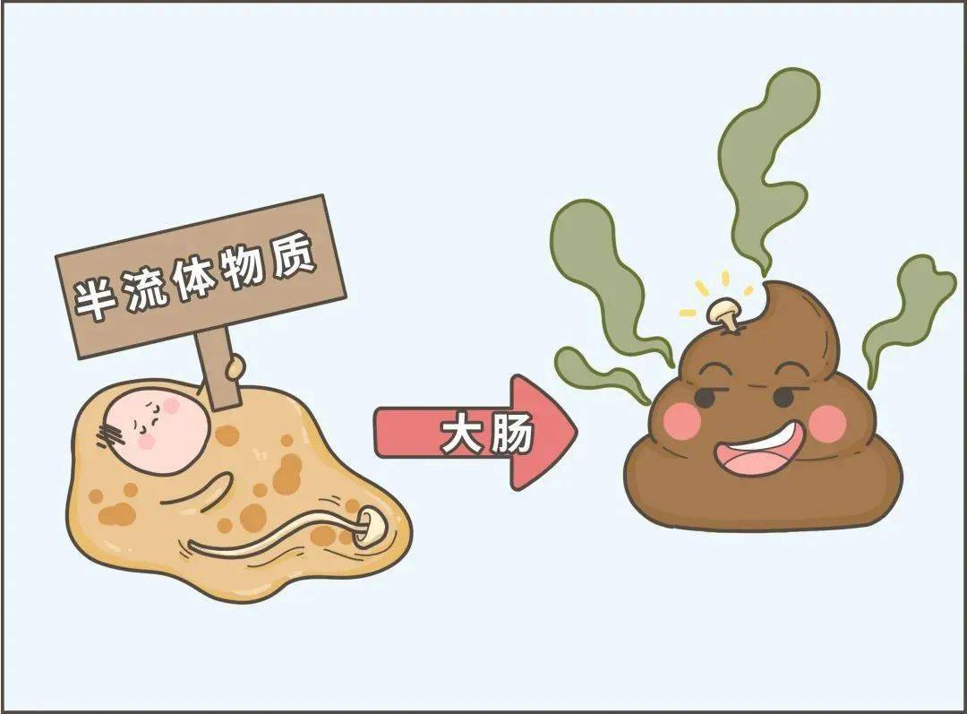 臭味|到底吃什么了？有些人的屎怎么会那么臭！