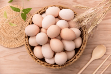 致谢小球藻鸡蛋客户小球藻鸡蛋自述