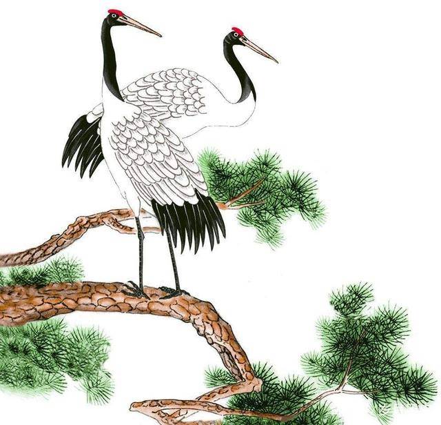 中国人一向对鹤深有好感视其为仙禽古时流传的仙鹤故事