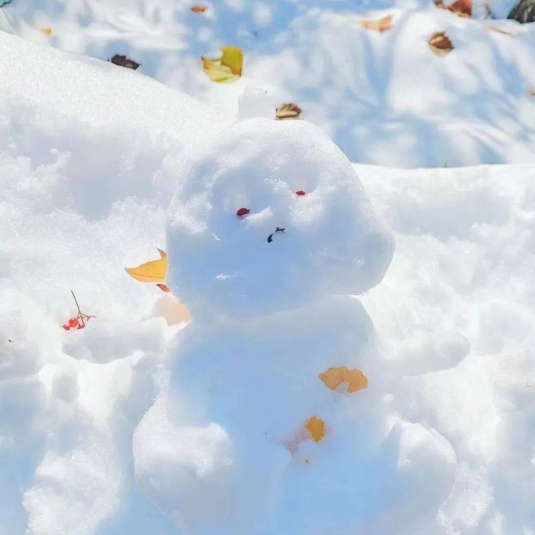小信说||雪落下的“声音”_校园_雪儿_什么