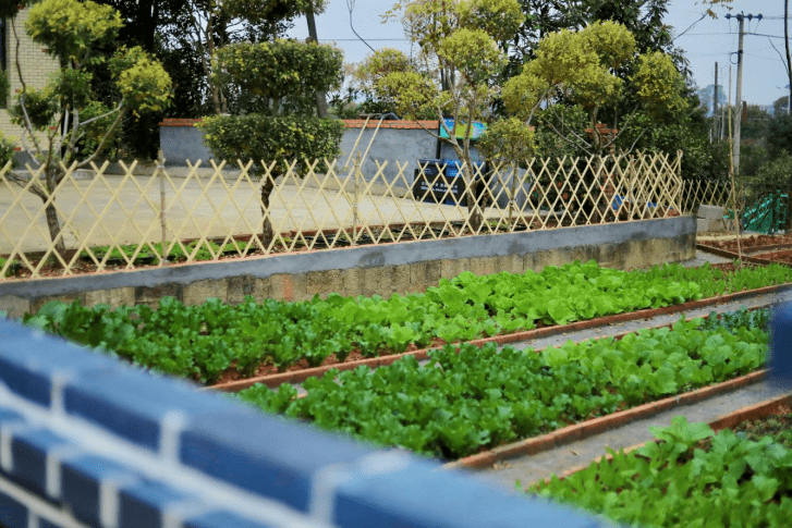 跳馬鎮開展美麗宜居村莊建設以來,共計完成硬化道路10.