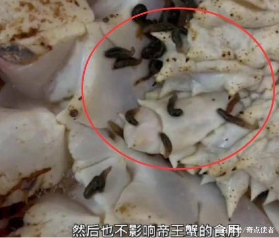 女子网购帝王蟹上爬满大量活虫商家称是蟹蛭真的能吃吗