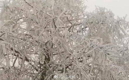 大路|杭州迎来入冬第一场雪 清凉峰现雾凇景观