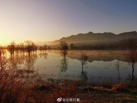 会泽|念湖如何成为鸟之乐园