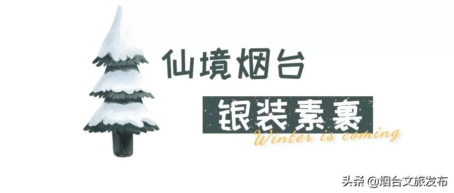 雪花|琼瑶匝地！“雪窝烟台”盛装亮相