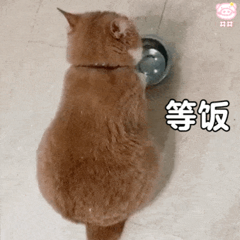 每日沙雕表情包
