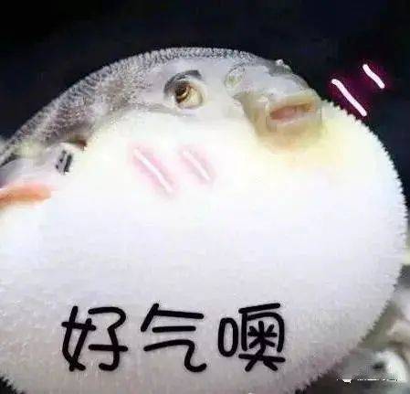 这东西别吃_河豚_食用_李先生