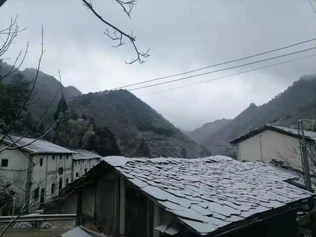 寒潮|南方下“大雪”了？！初雪打卡照火了！网友：南方人的限定版快乐