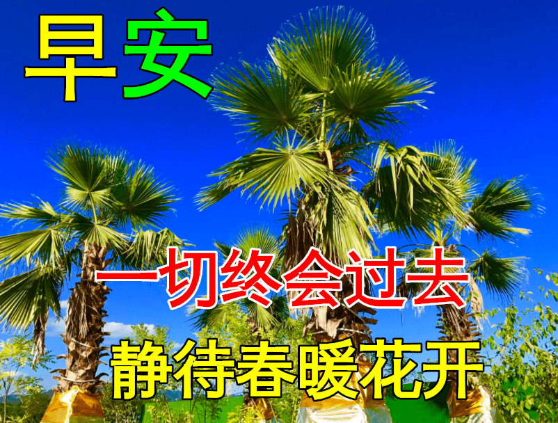 大家早上好图片60张 4d5035f4b296467c8e17ea7028619ac1.png