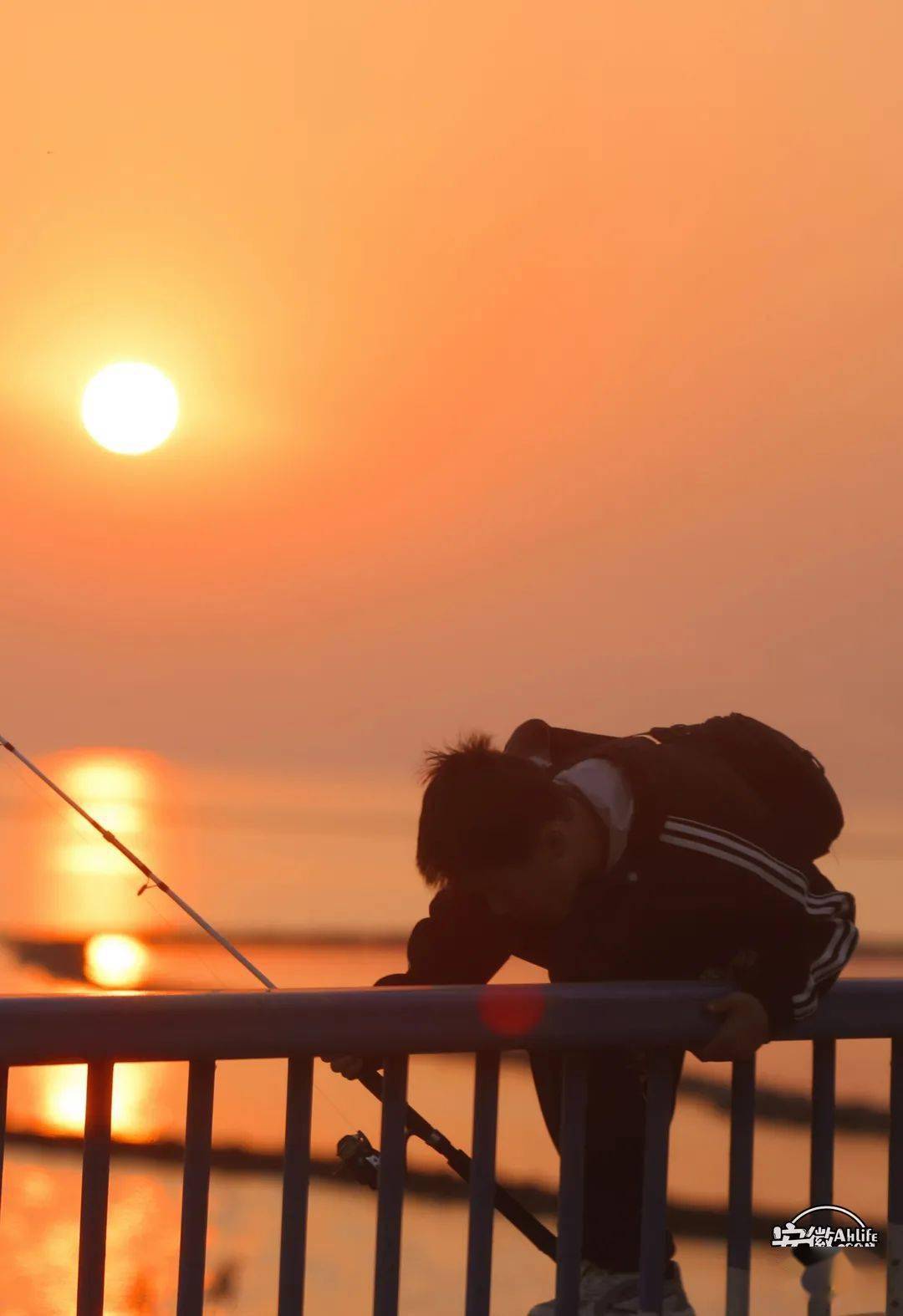 热搜预警,爱在合肥日落黄昏时_湖面_因为_码头