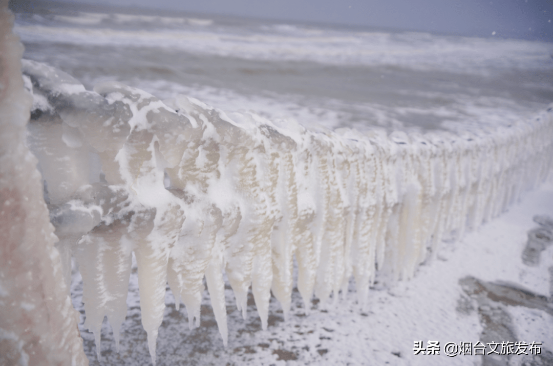 蓬莱|“雪窝”烟台变妆照，惊艳了全国！珍藏！