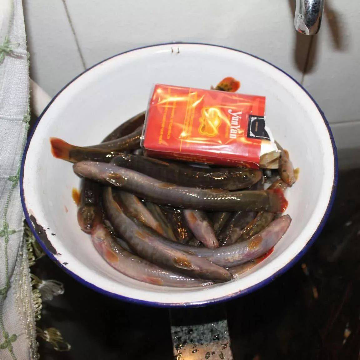 生活在四川深丘地区的一种小鱼，我们叫“石钢鳅”_浮子