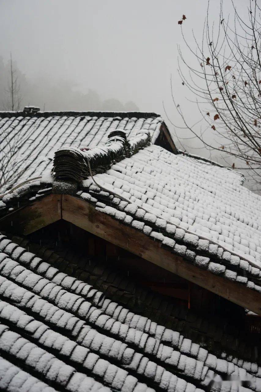 雪景|不负众望！都江堰下雪啦！最美雪景在这里~