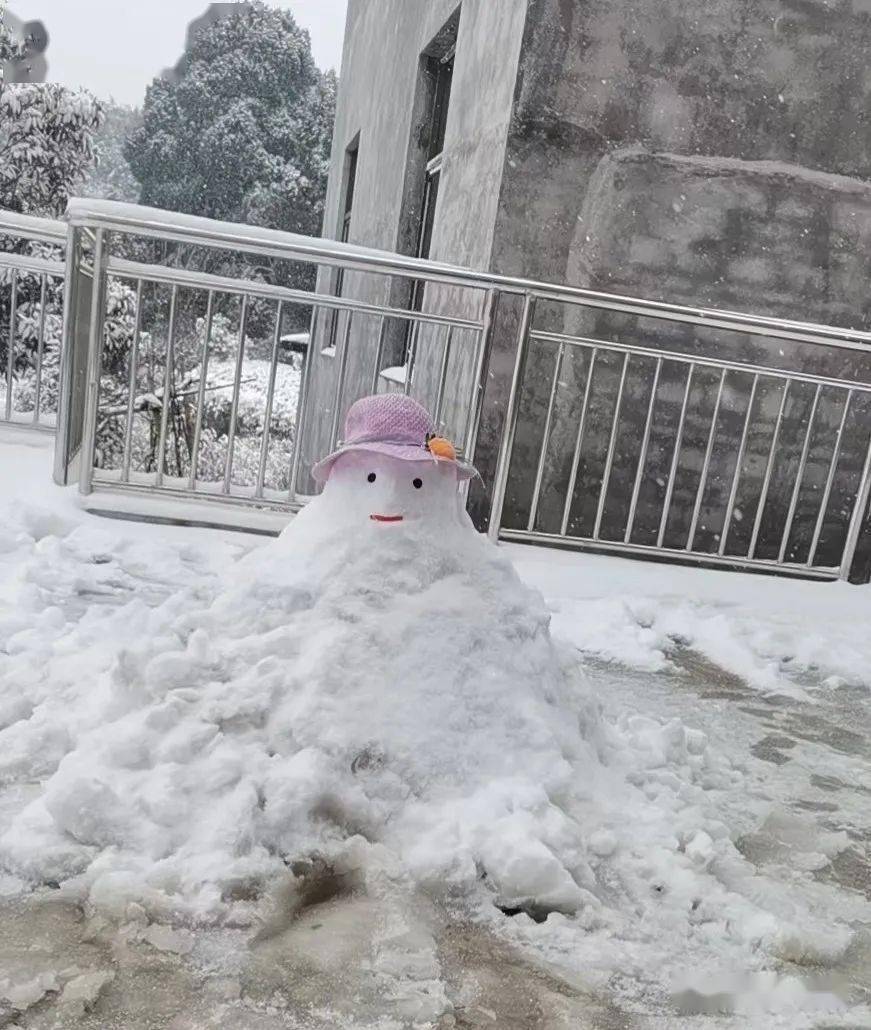 美呆了整个隆回还有隆回的朋友圈都下雪啦