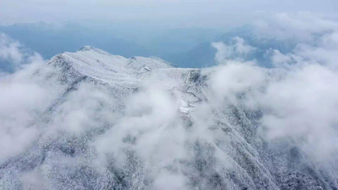 白竺青草湖雪景图片