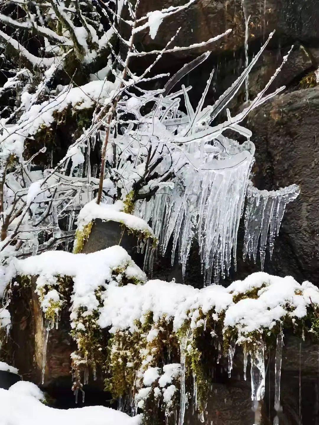 冻真格什邡连续两天下雪