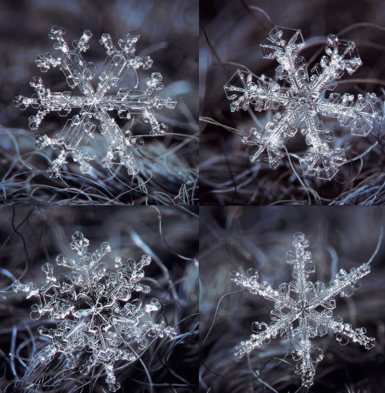 奥秘|他拍下世界最美68张照片，罕见三角形雪花曝光，8万人痴狂：宇宙终极奥秘是雪花！