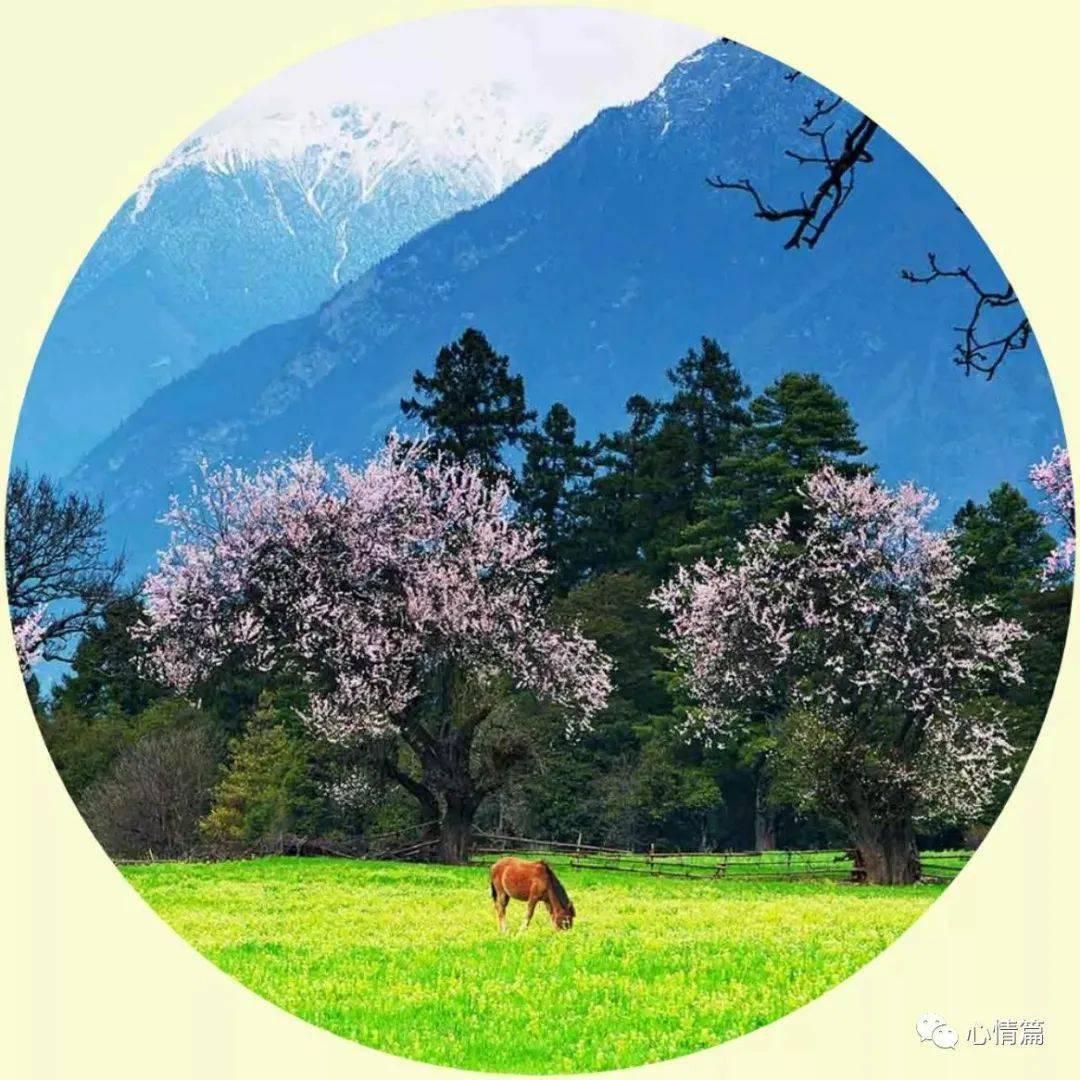 40张人间仙境微信头像