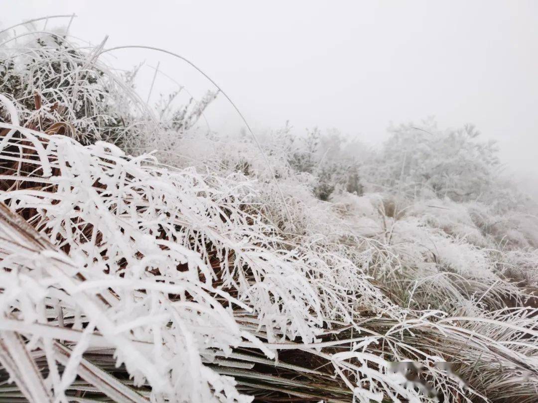 福建漳州下雪图片