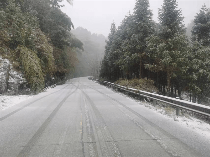 大雪|东岭寻雪