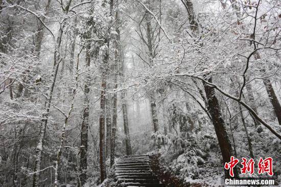 小峨眉|四川多地迎来首场降雪 南充金城山景区满山银装素裹