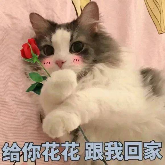 fd831ff0e8d049c5ab12abeaae510046.jpeg