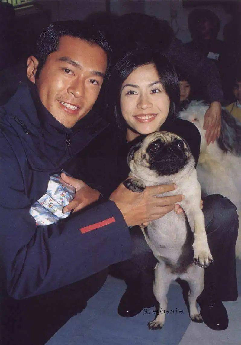 没恋爱就离婚?隐婚十年不敢说…_古天乐_宣萱_寻秦记