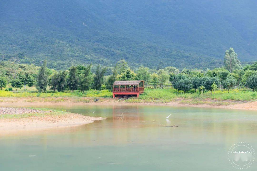 新区|看海、爬山、赏古建筑……大鹏新区旅游景点汇总来啦！你去过几个？