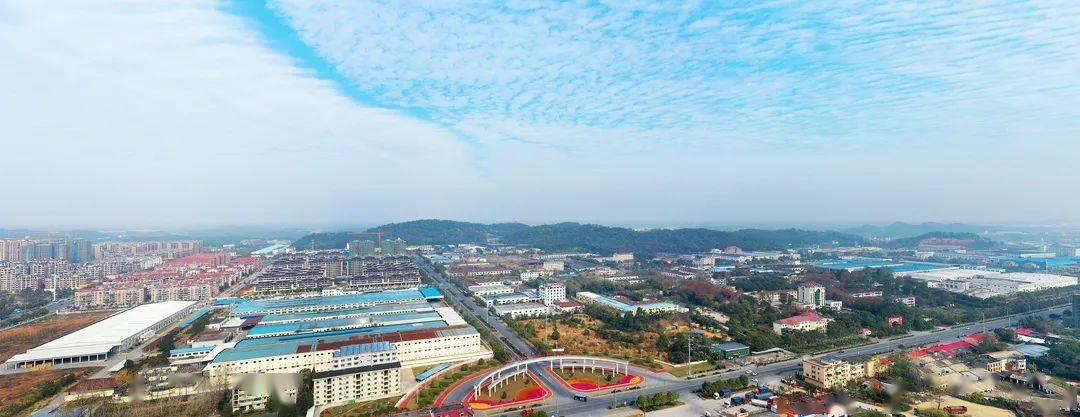 20年宜春这里开花结果的秘密是