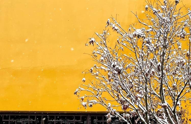 雪景|贵阳西普陀寺初雪素装