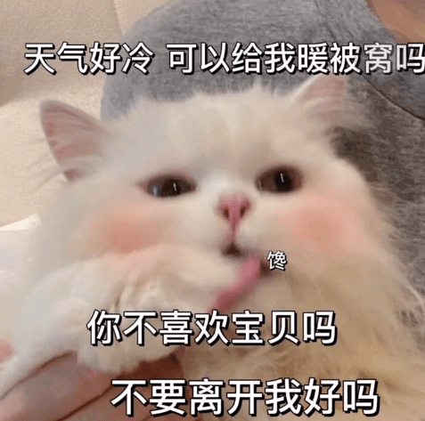 抖音表情包i能不能借我260大年三十还你520