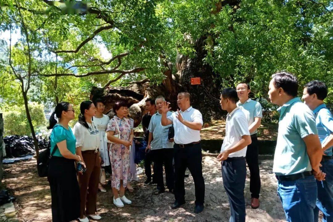 容縣某村書記,獲自治區擬推薦榜樣!_大坡村_十里鎮_琮栩